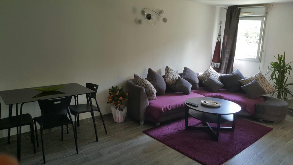 Cite Espace Apartment Тулуза Екстериор снимка